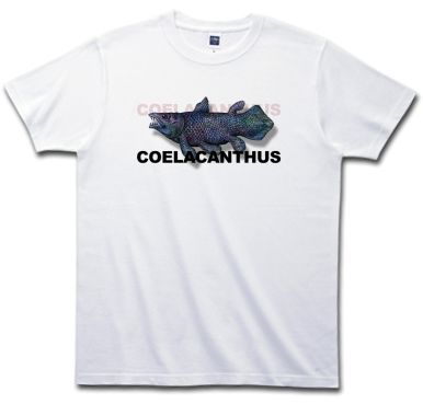 coela5.jpg