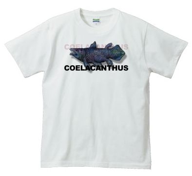 coela6.jpg